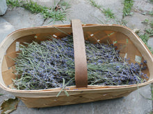 Load image into Gallery viewer, Lavender Oil Double Infused Organic Pure & Potent Vegan Gluten free Handmade in small batches Lavandula Angustifolia Bumbling Acres Farm
