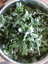 Load image into Gallery viewer, Mugwort Oil Double Infused Organic Only 2 Ingredients Pure and Potent Grown and Handmade On The Farm Artemisia vulgaris Bumbling Acres Farm