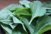 Load image into Gallery viewer, Plantain Oil Double-Infused Organic Vegan