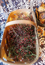Load image into Gallery viewer, Rose Blossom Infused Oil Organic Wildcrafted Double Infused
