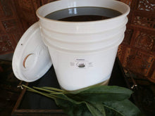 Load image into Gallery viewer, Comfrey Herbal Organic Oil, Concentrated, Fresh Plants, Small Batches