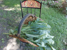Load image into Gallery viewer, Comfrey Herbal Organic Oil, Concentrated, Fresh Plants, Small Batches