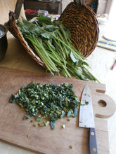 Load image into Gallery viewer, Comfrey Herbal Organic Salve, Double Infused, Made from Fresh Plants