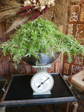 Load image into Gallery viewer, Cleavers Herbal Organic Oil, Concentrated, Double-Infused, Handmade