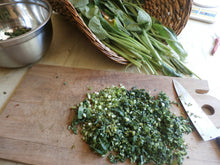Load image into Gallery viewer, Comfrey Herbal Organic Oil, Concentrated, Fresh Plants, Small Batches