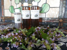 Load image into Gallery viewer, Heal All Prunella Vulgaris Organic Double-Infused Glycerite