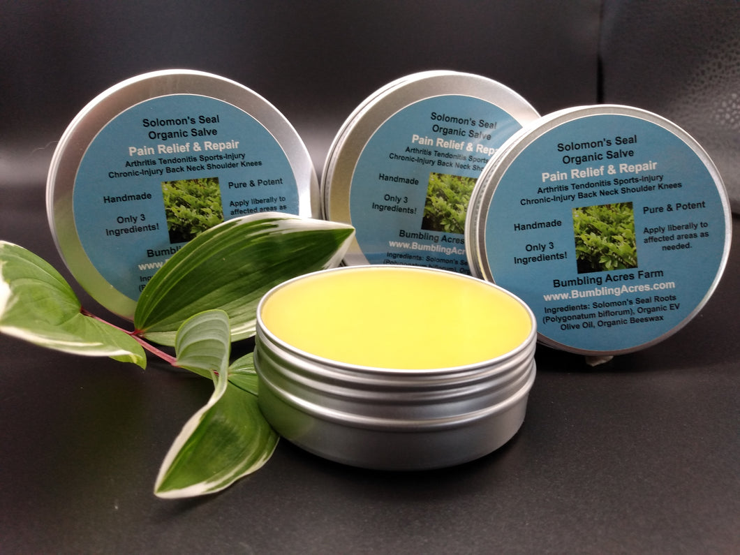Solomon's Seal Salve Pure & Potent Only 3 Ingredients Double Infused Organic  Pain, Bones, Tendons, Arthritis, Sports Injury