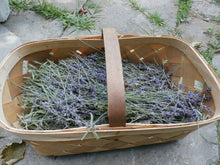 Load image into Gallery viewer, Lavender Oil Double Infused Organic Pure &amp; Potent Vegan Gluten free Handmade in small batches Lavandula Angustifolia Bumbling Acres Farm

