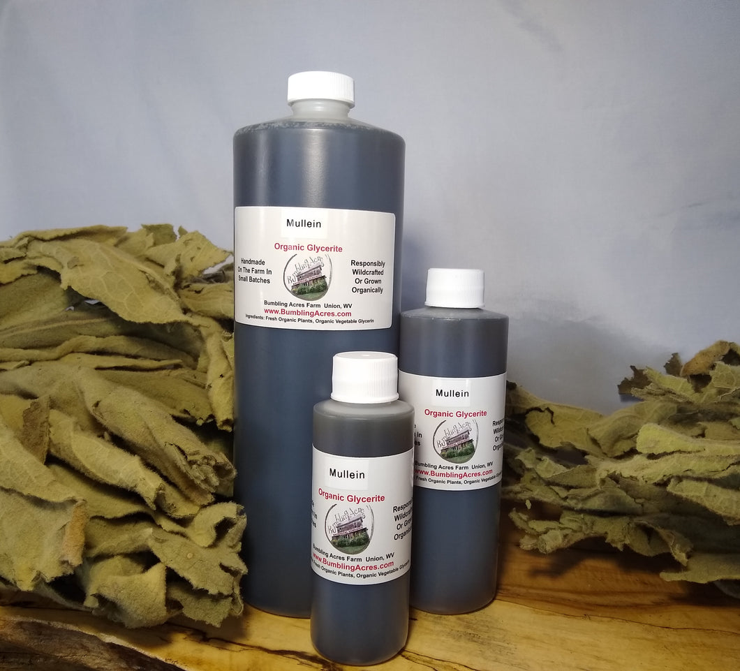 Mullein Herbal Glycerite Double Infused Pain Relief