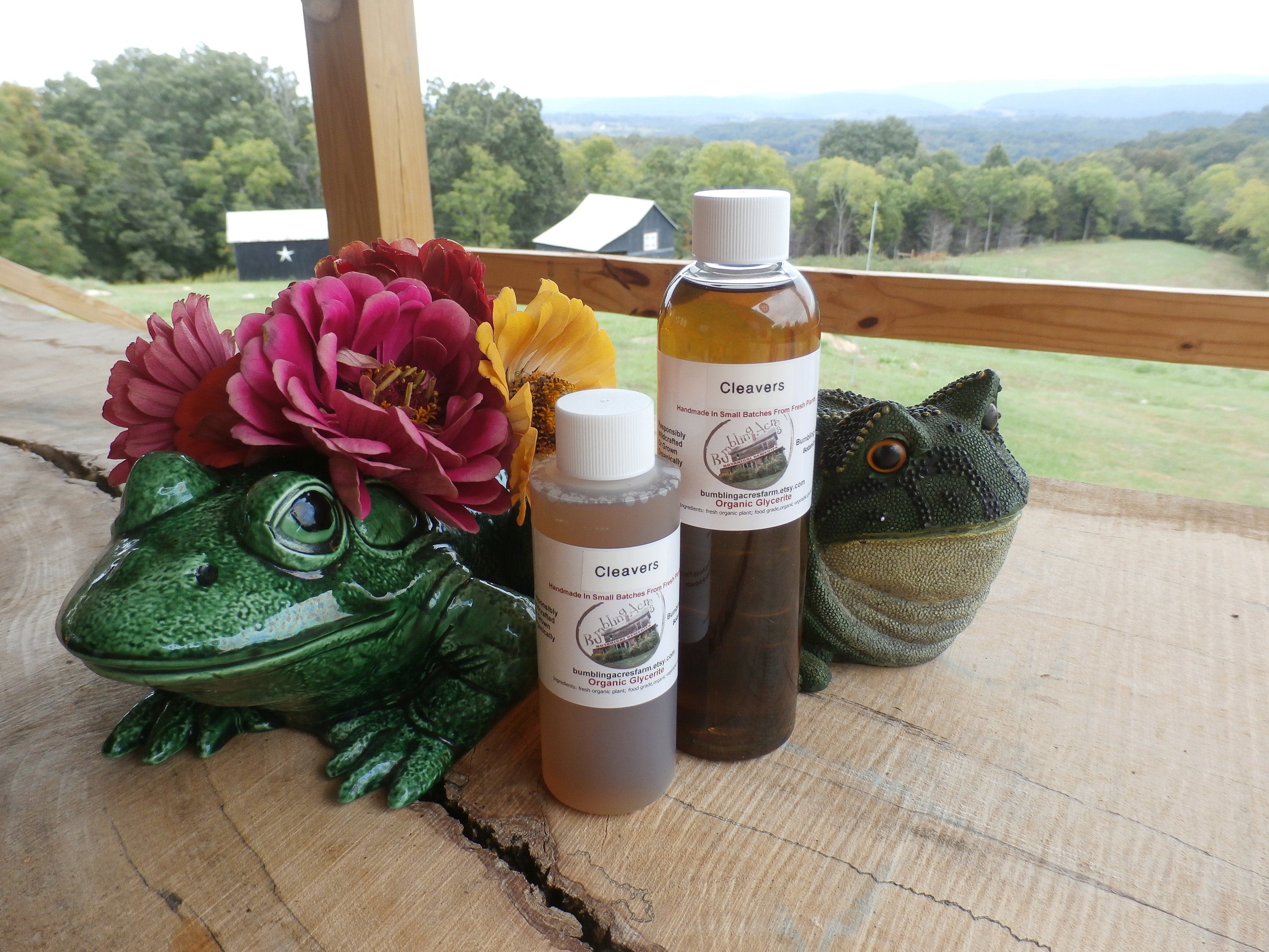 Cleavers Glycerin, Organic, NonAlcohol Tincture from Fresh Plants