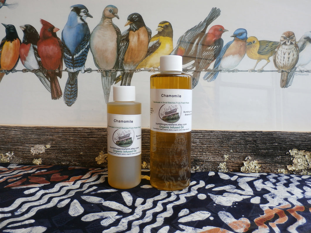 Chamomile Double Infused Organic Concentrated Oil, DIY Hair & Skincare